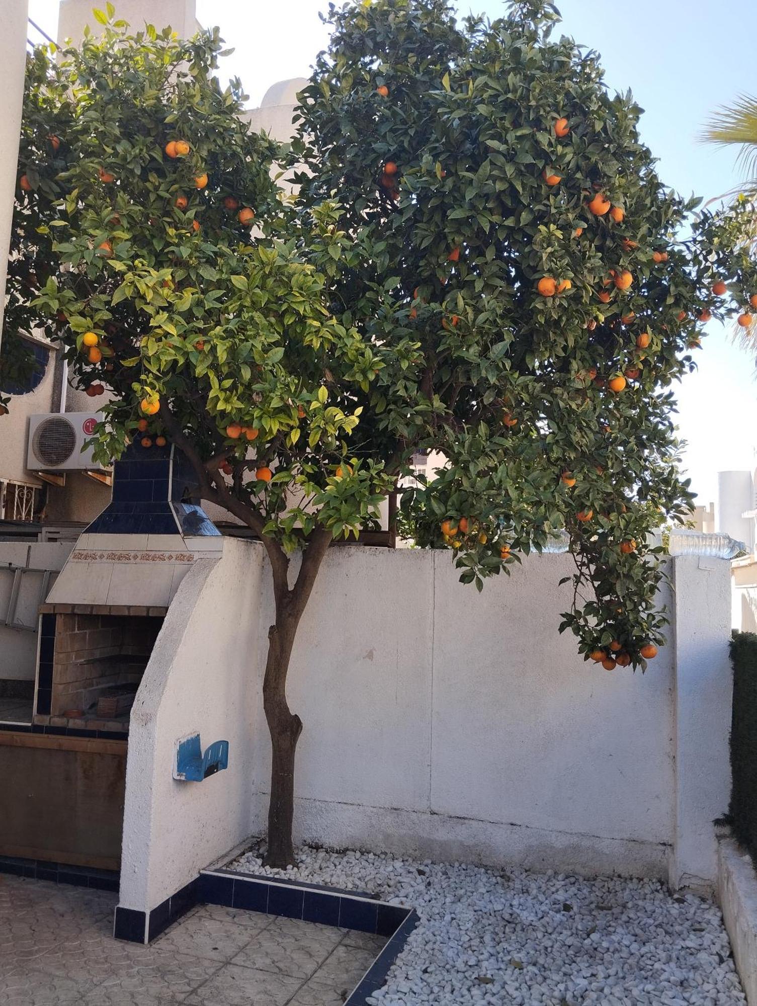 Z&R - Alcyone Villa Torrevieja Luaran gambar